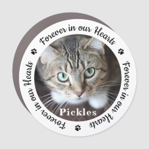 Forever In Our Hearts Photo Pet Cat Memorial Car Magnet