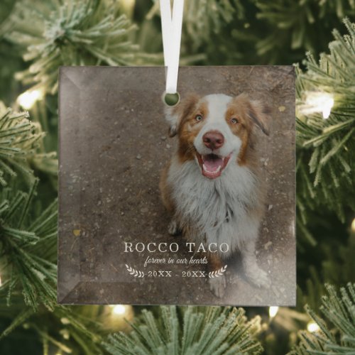 Forever In Our Hearts  Photo Pet Memorial Glass Ornament