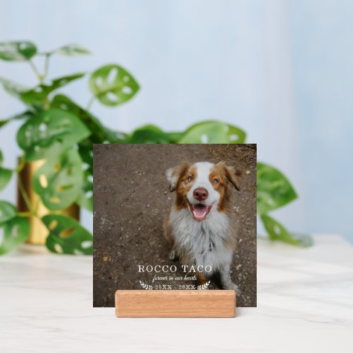 Forever In Our Hearts  Photo Pet Memorial Holder