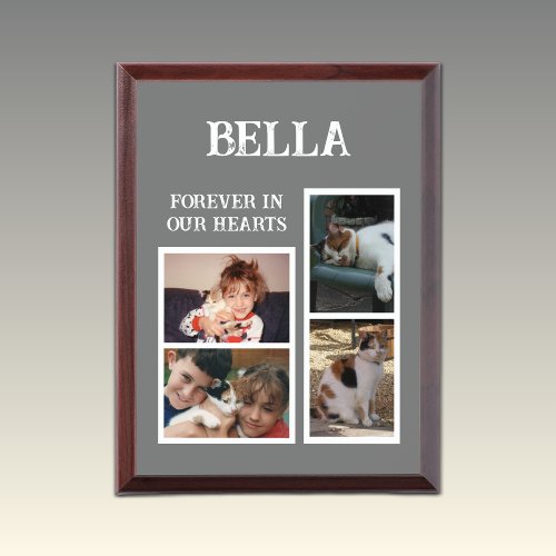 Forever keepsake animal pet lover 4 photo grey award plaque