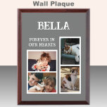 Forever keepsake animal pet lover 4 photo grey award plaque<br><div class="desc">Keepsake for an animal,  pet lover.
Forever in our hearts.
Add 4 photos.
Grey and white.
Sample cat photos for you to replace.</div>
