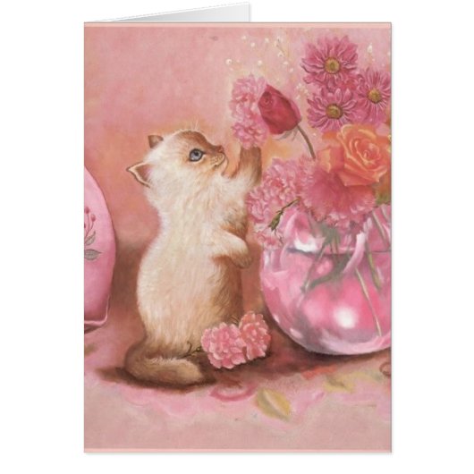 Forever Kitten Cards (Front)