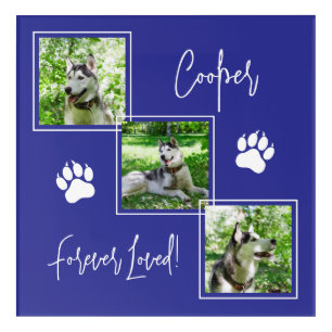 Forever Loved Blue Dog Memorial Photo Collage Acrylic Print