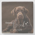 Forever Loved Pet Loss Memorial