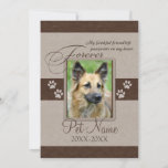 Forever Loved Pet Sympathy Card at Zazzle