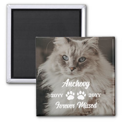 Forever Missed Cat Paws Name  Photo Magnet