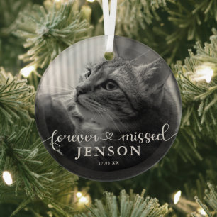 Forever Missed Photo Pet Cat Memorial Glass Ornament