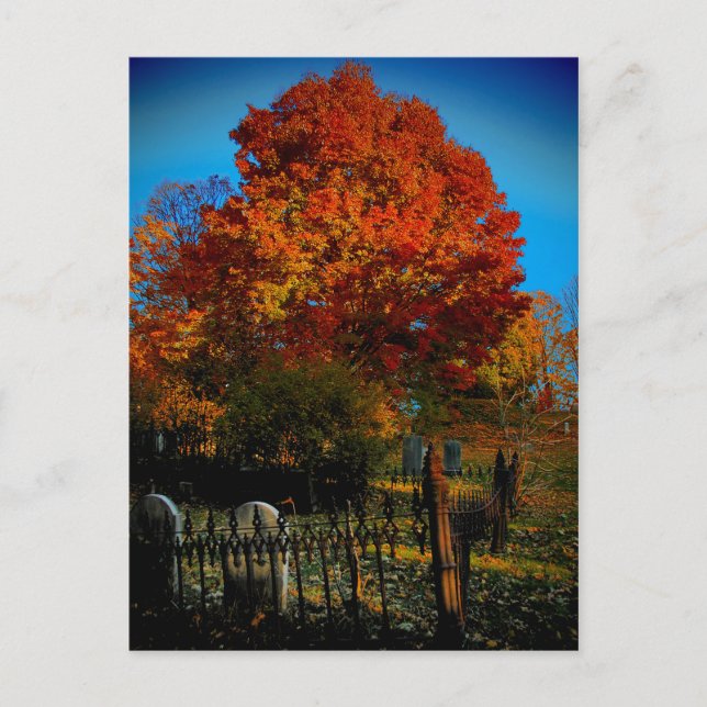 Forever Red Postcard (Front)