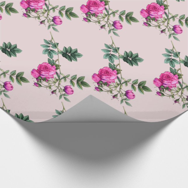 Forever Rosa Surique 30 feet Wrapping Paper (Corner)