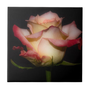 Forever Rose Ceramic Tile
