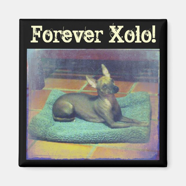 Forever Xolo! Magnet (Front)
