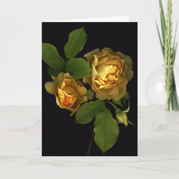 Yellow Roses Cards Zazzle 5372