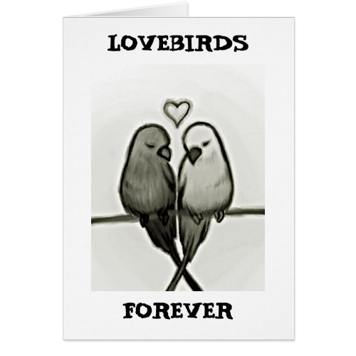 FOREVER_YOU AND ME_LOVEBIRDS