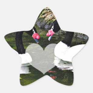 Forever Yours,Always & Forever_ Star Sticker