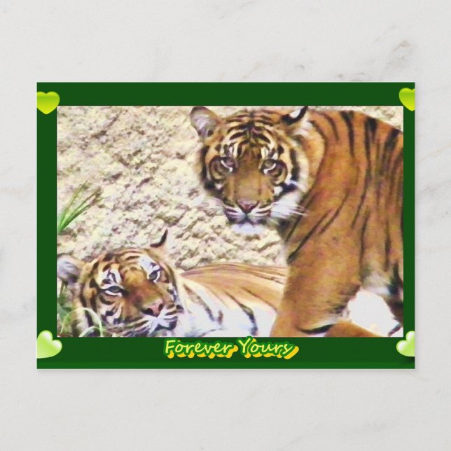 Forever Yours_ Postcard (Front)