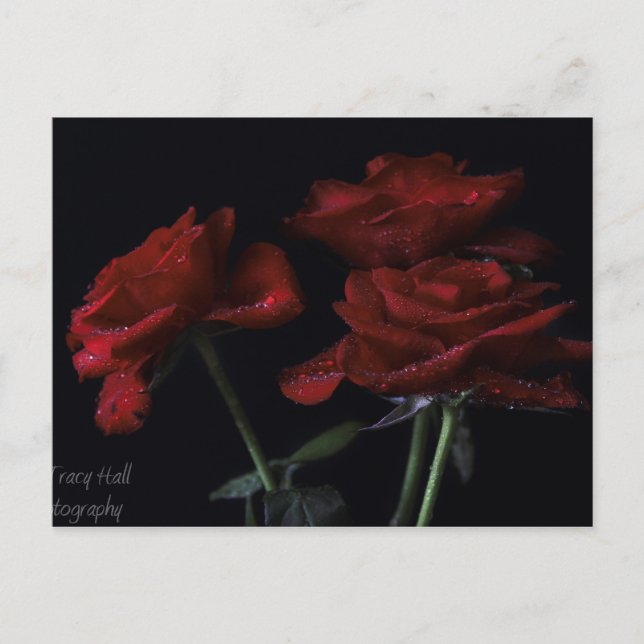 Forever Yours Postcard (Front)