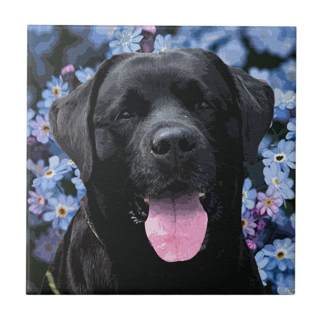 Forget Me Knot - Black Labrador Ceramic Tile (Front)