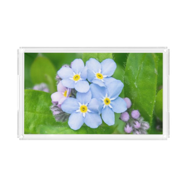 Forget-me-not, Acrylic Tray (Front)