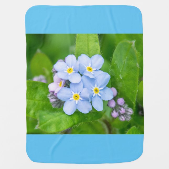Forget-me-not Baby Blanket (Front)
