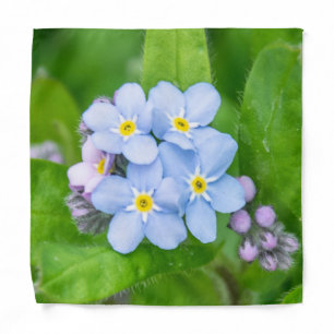 Forget-me-not Bandana