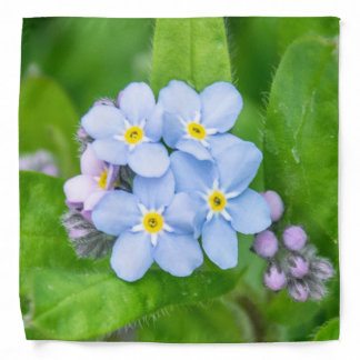 Forget-me-not Bandana