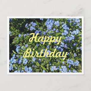 Forget-Me-Not Birthday Postcard