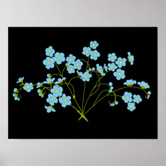 Forget Me Not Black  Poster