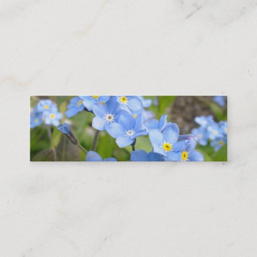 Customizable Forget Me Not Bookmark Business Card
