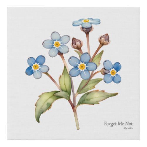Forget Me Not Botanical Style Print