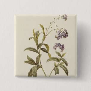 Forget-me-not Button