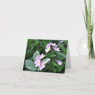 Forget-me-not card