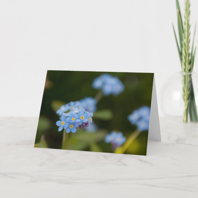 Forget-Me-Not Card (Front)
