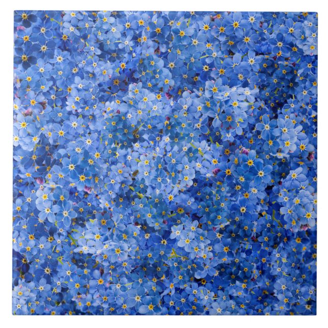 Forget Me Not Flower Pattern Ceramic Tile (Front)