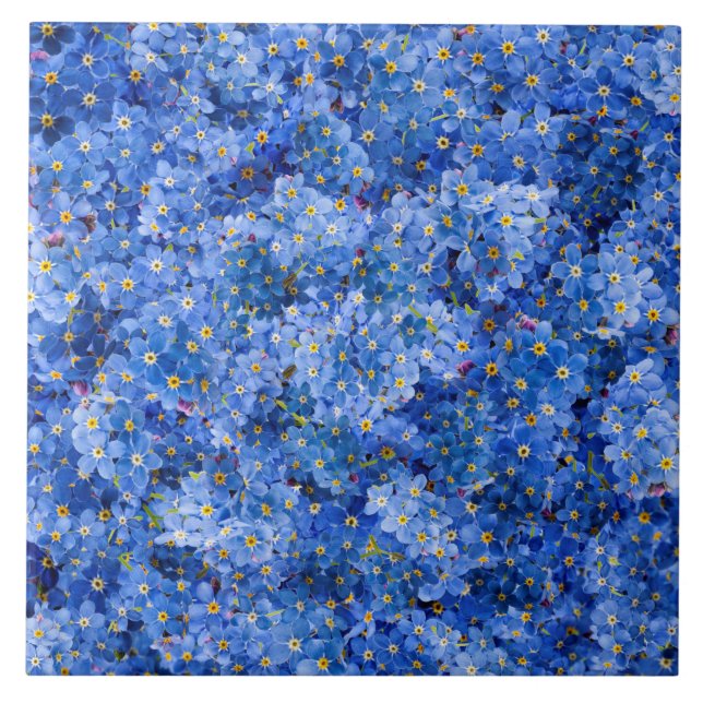 Forget Me Not Flower Pattern Ceramic Tile (Front)
