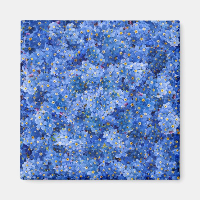 Forget Me Not Flower Pattern Magnet (Front)
