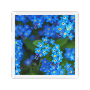 Forget-me-not Flowers Acrylic Tray