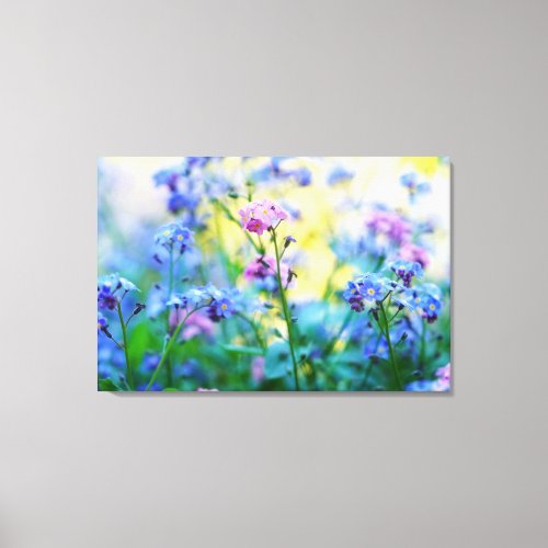 Forget_Me_Not Flowers Canvas Print