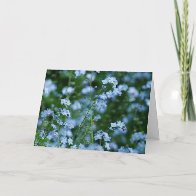 Forget-me-not Flowers Card (Front)