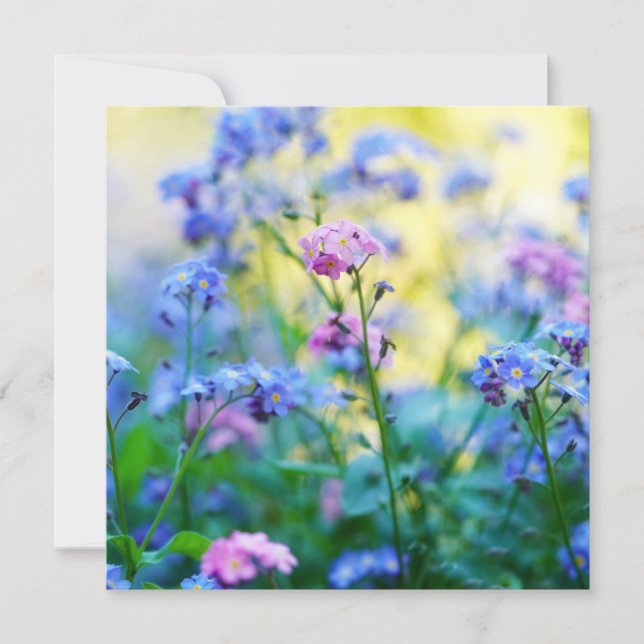 Forget-Me-Not Flowers Card (Front)