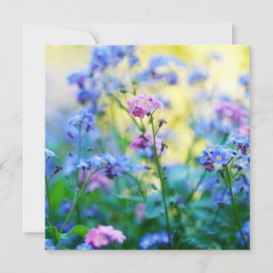 Forget-Me-Not Flowers Card