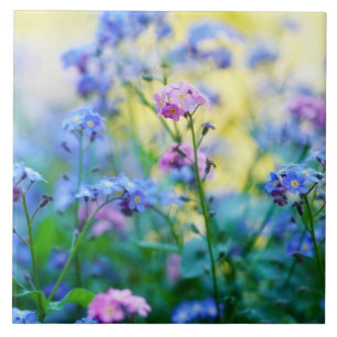 Forget-Me-Not Flowers Ceramic Tile
