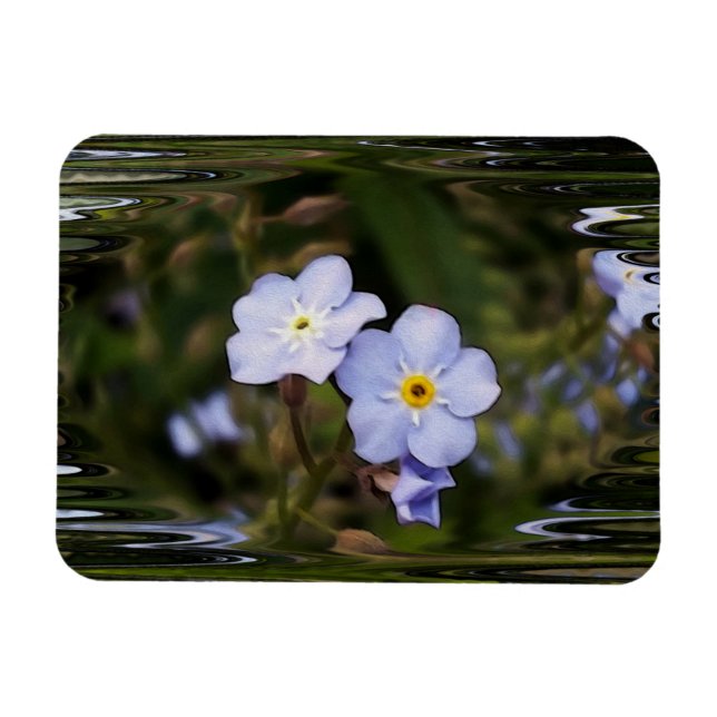 Forget me not flowers magnet (Horizontal)