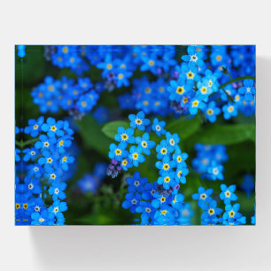 Forget-me-not Flowers Paperweight
