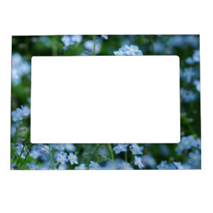 Forget-me-not Flowers Photo Frame