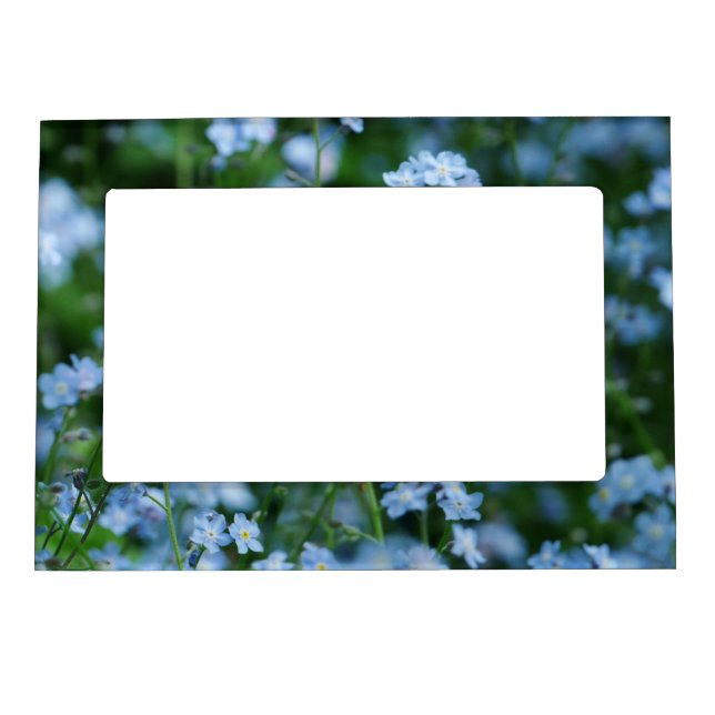 Forget-me-not Flowers Photo Frame (Front)