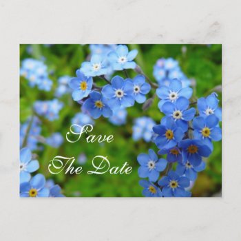 Forget Me Not Flowers Save The Date Wedding Card by bridalwedding at Zazzle