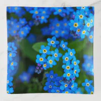 Trinket Tray  Forget-me-not – The Ink Bucket