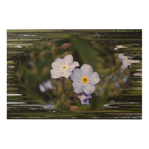 Forget me not flowers wood wall art