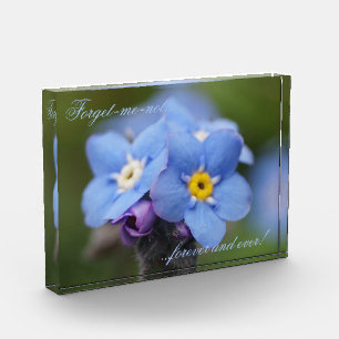 Forget-me-not forever and ever acrylic award