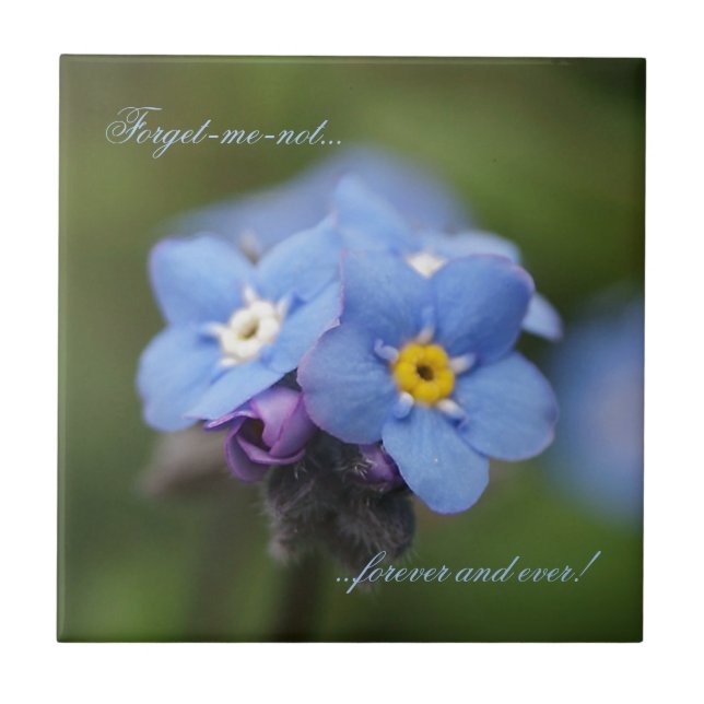 Forget-me-not forever and ever! ceramic tile (Front)